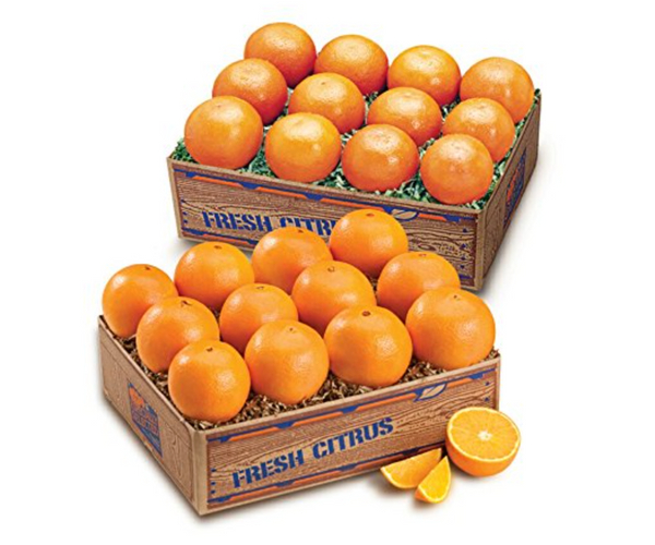 20lbs of Delicious Florida Oranges