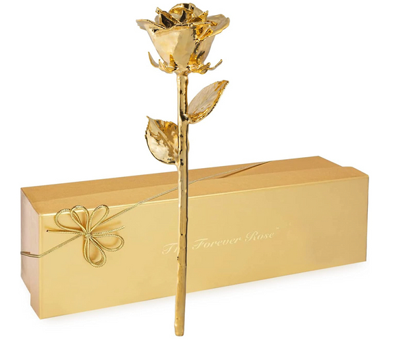24K Gold Dipped Rose