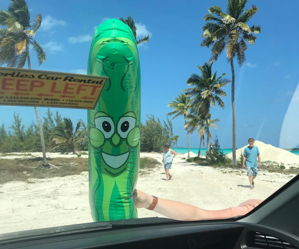 3" Inflatable PIckle