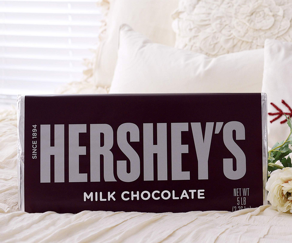 5LB Hershey Bar