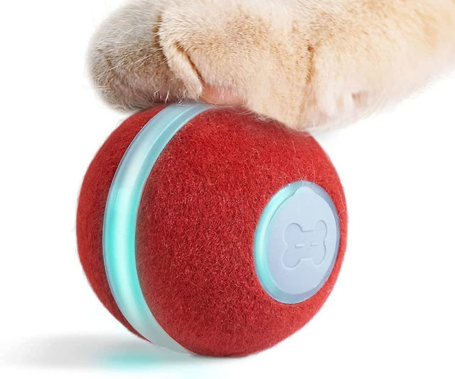 Cheerble Interactive Cat Ball