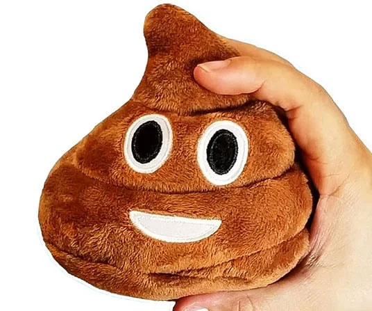 Farting Poop Emoji Plush Toy