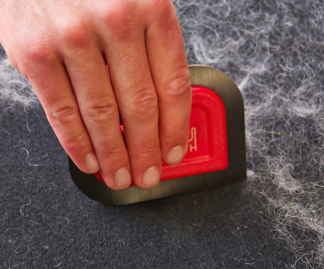 Lilly Brush Pet Hair Remover