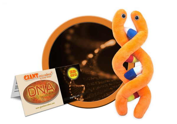 A Giant Plush DNA Strand