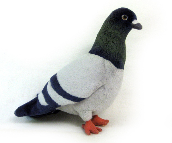 A Stuffed Pigeon
