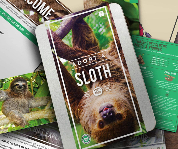 Adopt A Real Sloth