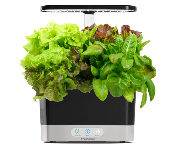 AeroGarden Indoor Herb Garden