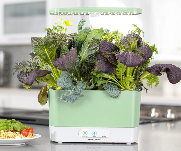Aerogarden Indoor Herb Grower