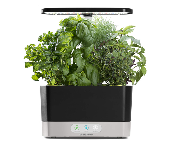 AeroGarden Indoor Hydroponic Garden