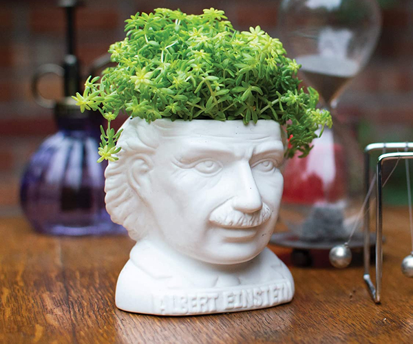 Albert Einstein Bust Planter