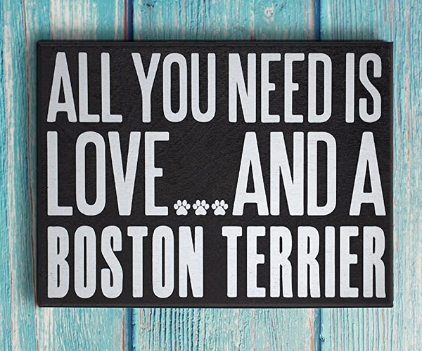 All You Need is Love and A Boston Terrier Sign