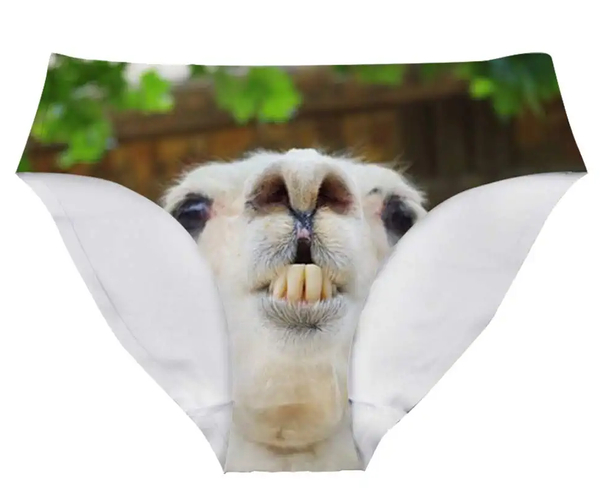 Alpaca Teeth Panties