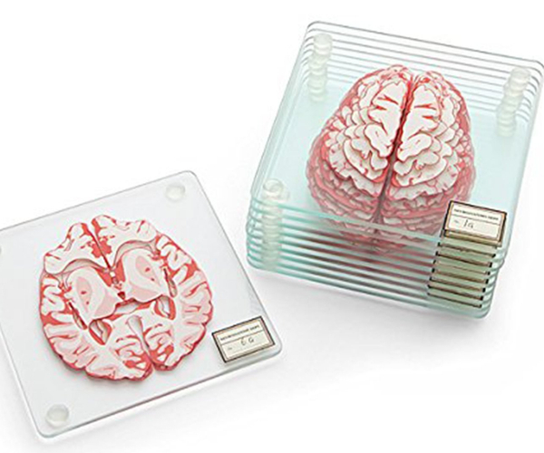 Anatomical Brain Specimen Drink Coasters
