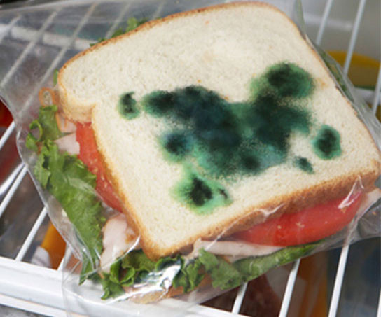 Anti-Theft Moldy Sandwich Bag