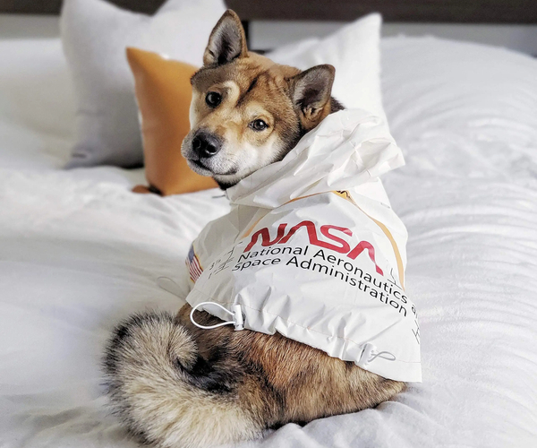 Astronaut Dog Waterproof Costume