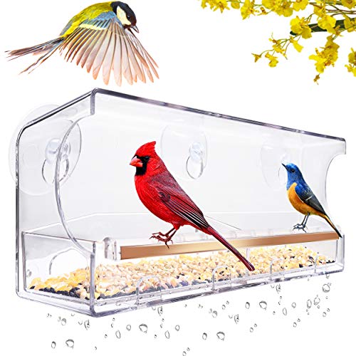 Attract Birds To Your Windows With A Bird Feeder