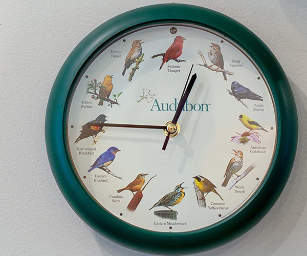 Audubon Singing Bird Wall