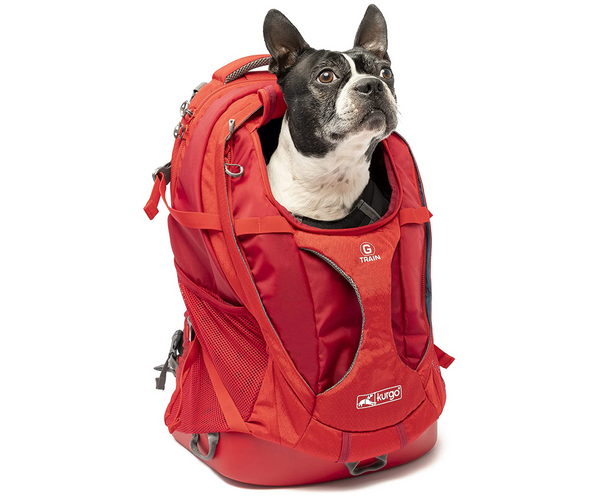 Backpack for Your French Bulldog