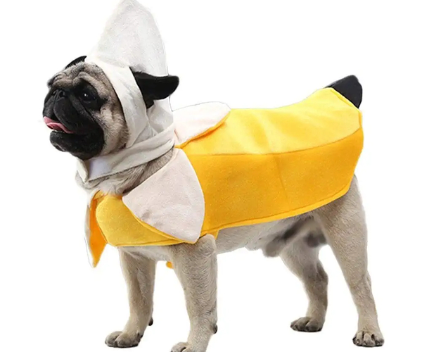 Banana Pet Costume