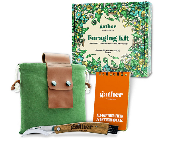 Beginner's Mushroom Foraging Kit