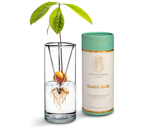 Bespoke Avocado Growing Kit