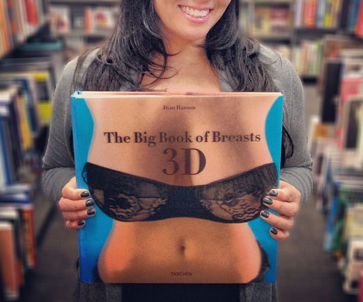 Big Book Of Breasts 3D