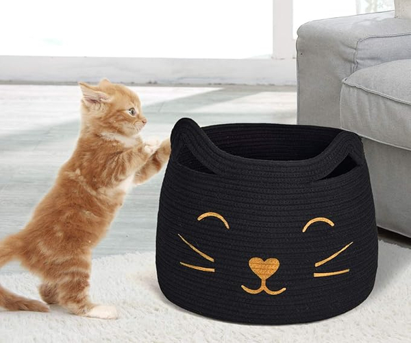 Black Cat Woven Bin
