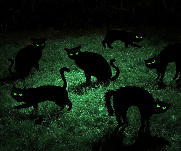 Black Cat Yard Decor