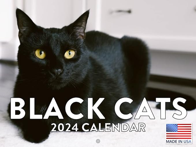 Black Cats 2024 Calendar