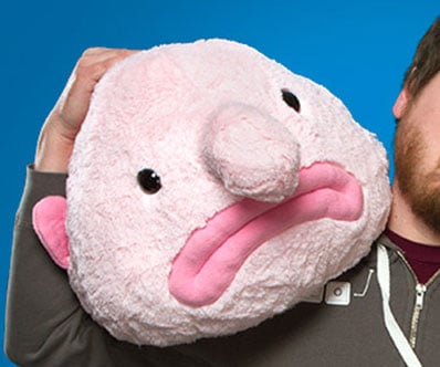 Blobfish Plush