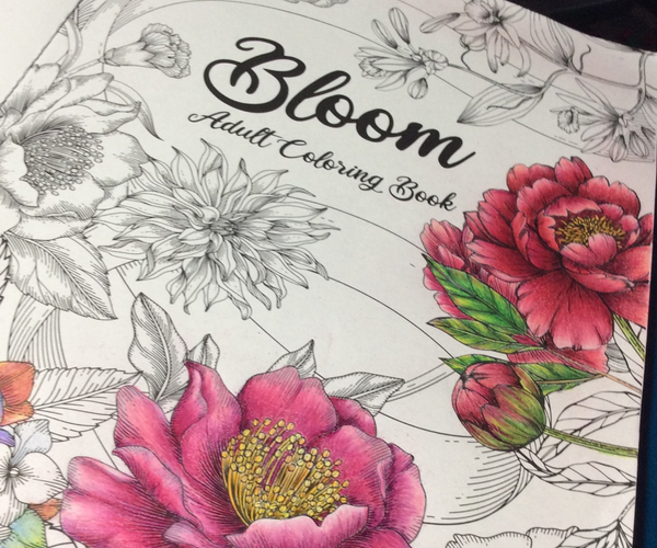 Bloom Botanical Adult Coloring Book