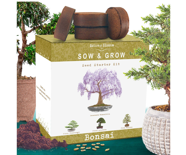 Bonsai Tree Kit