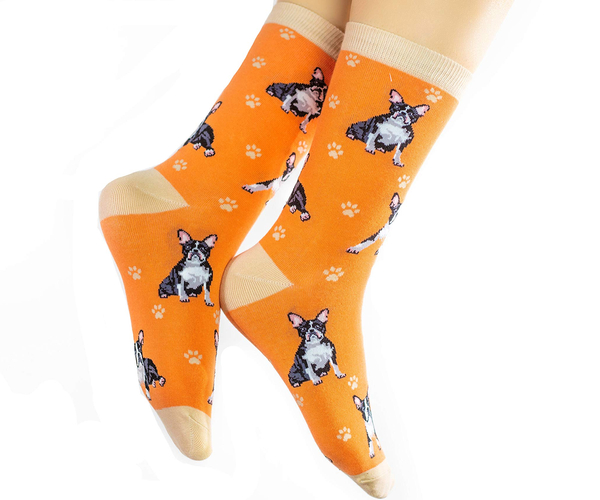 Boston Terrier Socks