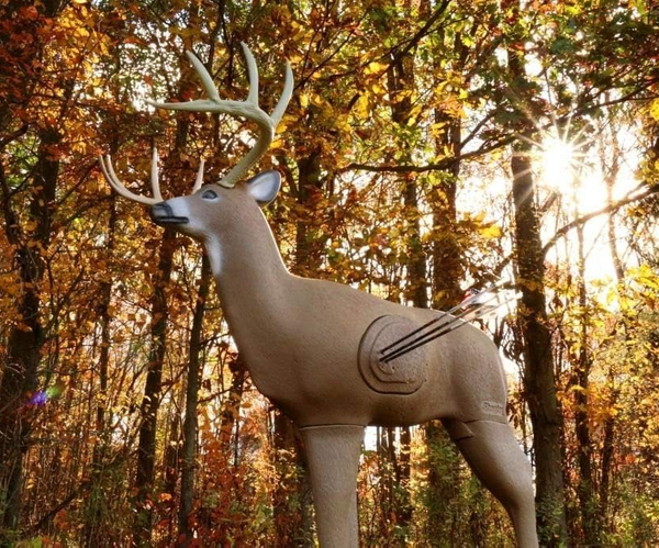 Buck Archery Target