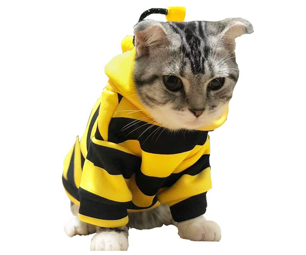 Bumblebee Cat Costume