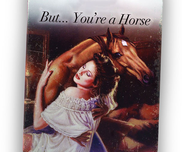 But… You’re A Horse Romance Novel