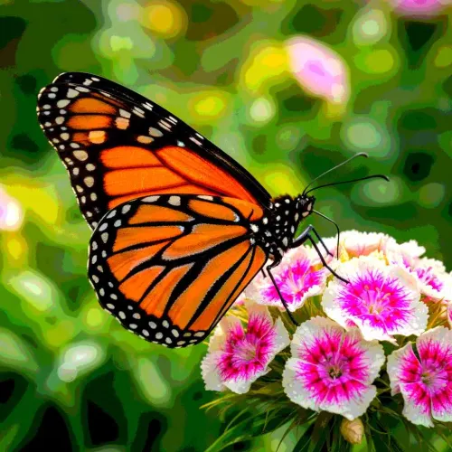 37 Whimsical Butterfly Gifts That'll Make Any Butterfly Lover's Heart Flutter