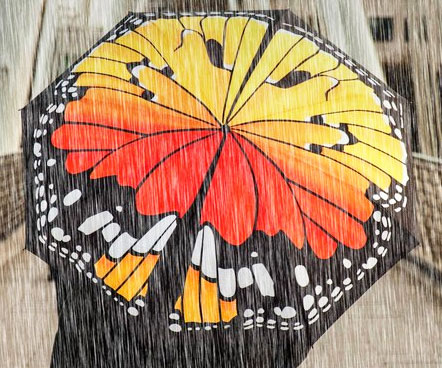 Butterfly Umbrella