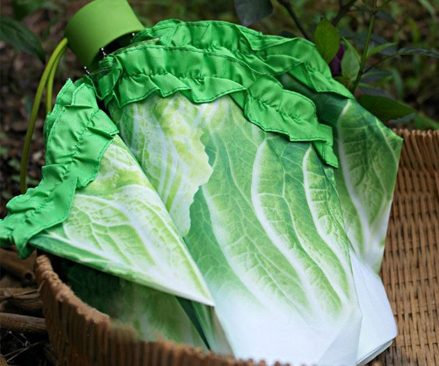 Cabbage Umbrella