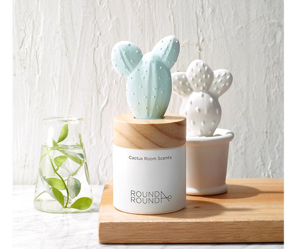 Cactus Aromatherapy Diffuser