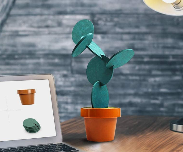 Cactus Coaster