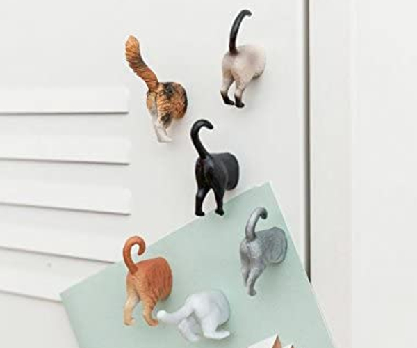 Cat Butt Magnets