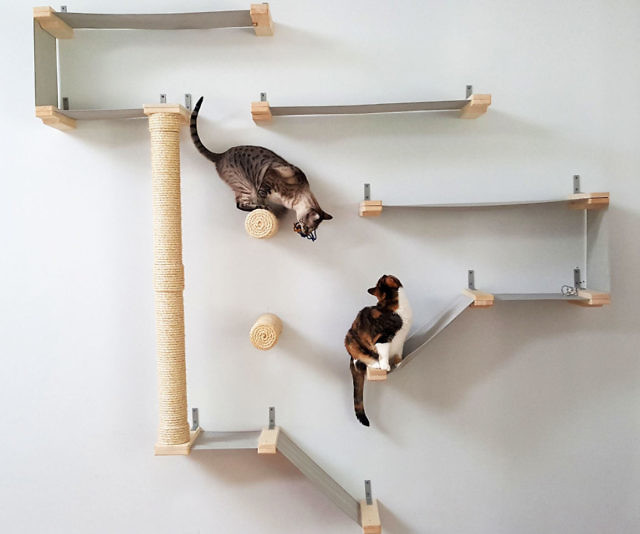 Cat Hammock Activity Center