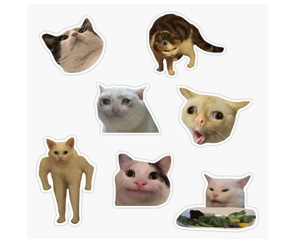 Cat Meme Funny Magnets