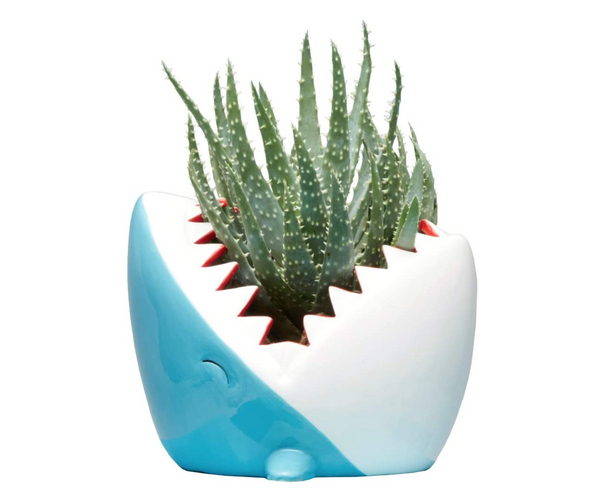 Ceramic Shark Planter Pot