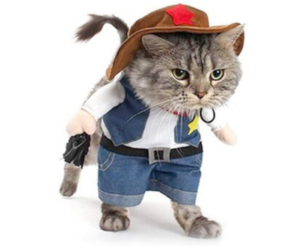 Cowboy Cat Costume