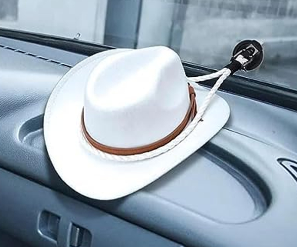 Cowboy Hat Windshield Mount