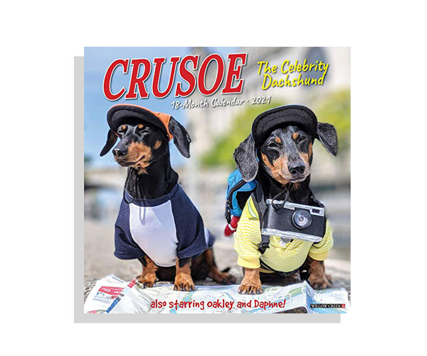Crusoe the Celebrity Dachshund Wall Calendar