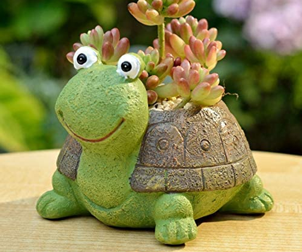 Cute Turtle Succulent Planter
