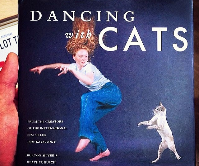 Dancing With Cats Book